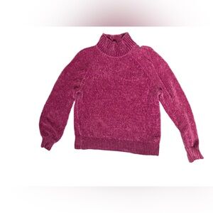 LOFT Women's Berry Turtleneck Sweater